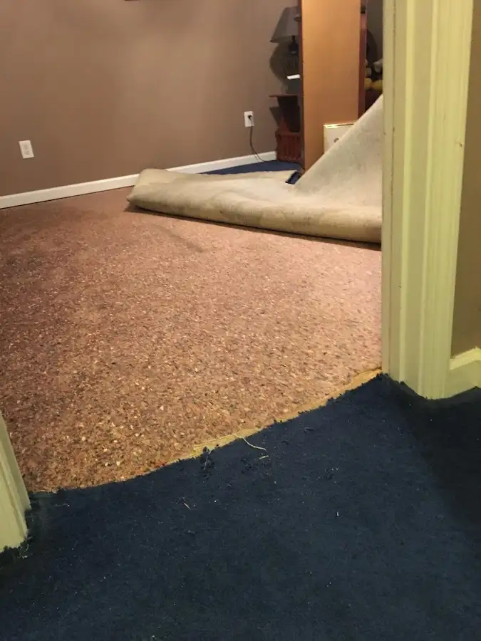 Carpet pad removal revealing water damage during Drying & Dehumidification in Fellsmere
