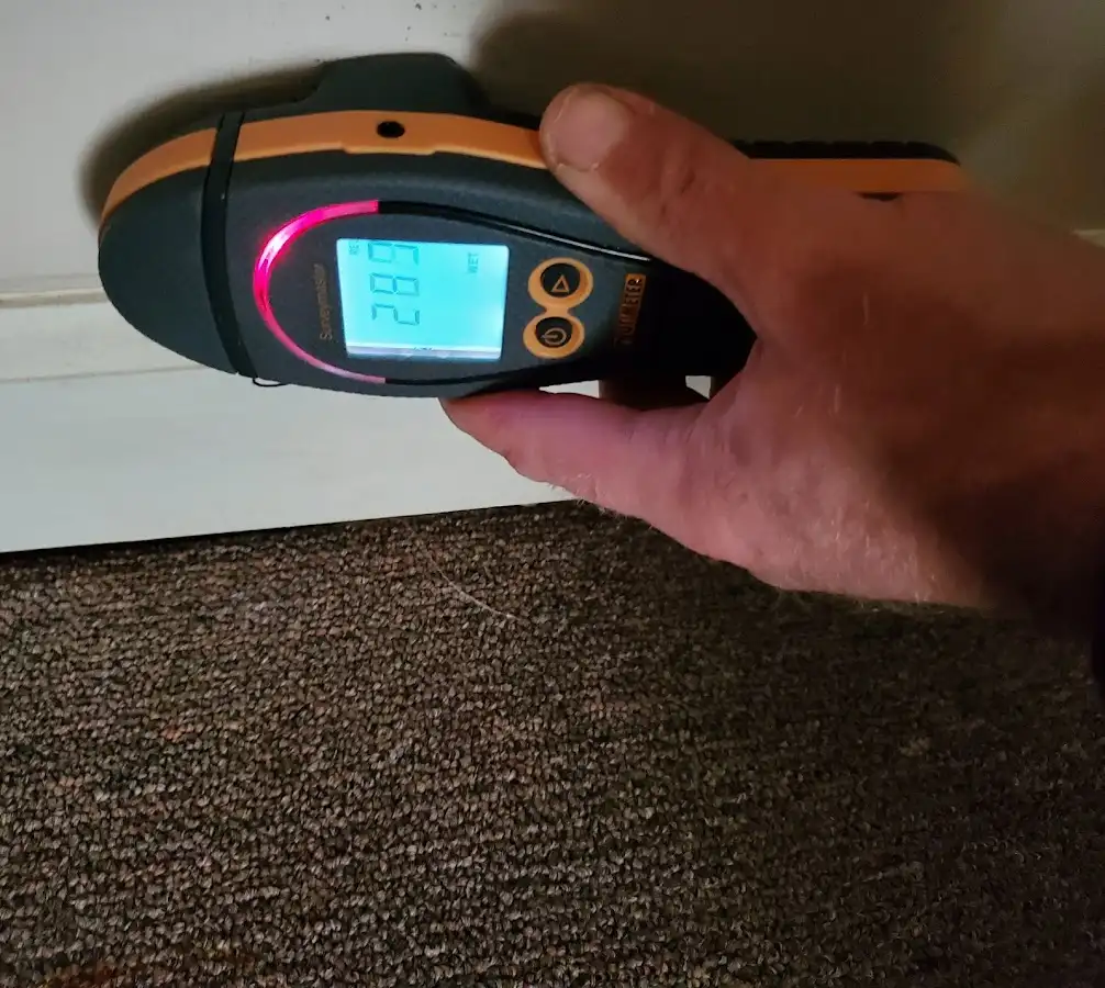 Moisture detection at baseboard during Mold Inspection & Testing in Fellsmere